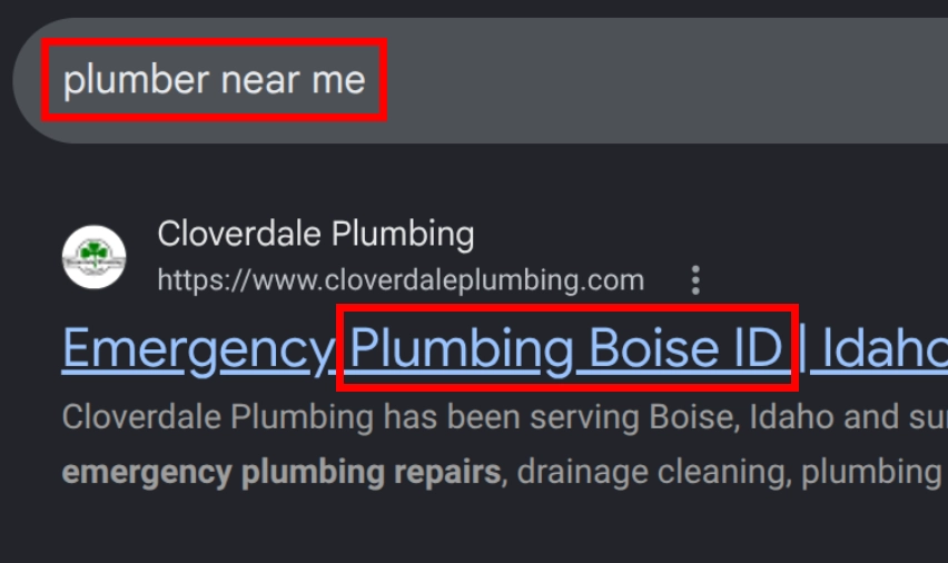 Google search results showing a local business ranking